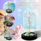 Birthday Gifts for Women,Mothers Day Flowers Gifts for Mom from Daughter Son,Valentines Gifts for Her,Colorful Rainbow Light Up Rose in A Glass Dome Mom Presents for Her Wife Grandma